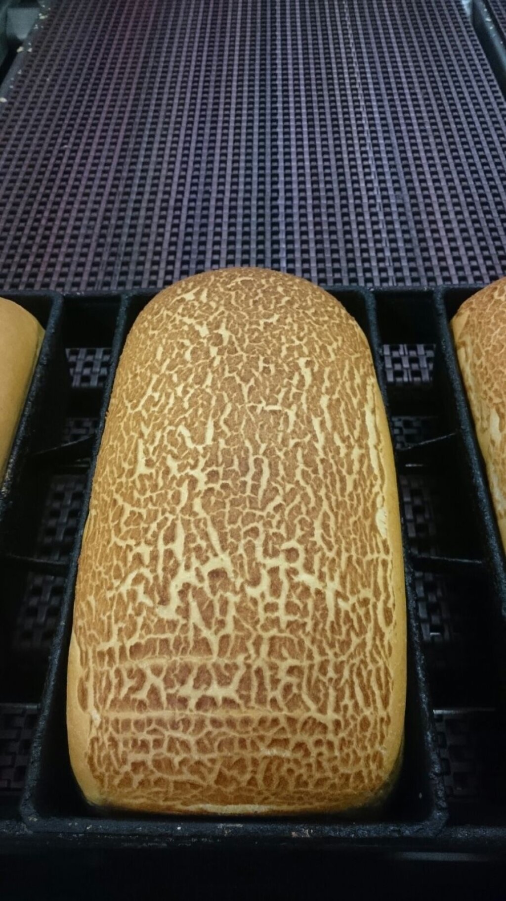 Tiger bread loaf in a baking tin with a crackled, spotted crust